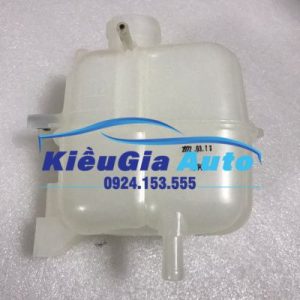 BÌNH NƯỚC PHỤ CHEVROLET SPARK M300 9 5 6 1