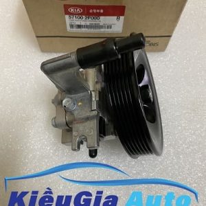 Banphutungoto.vn - BƠM TRỢ LỰC LÁI HYUNDAI SANTAFE MÁY DẦU - 571002P000