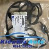 Banphutungoto.vn - GIOĂNG GIÀN CÒ CHEVROLET AVEO - 96353002