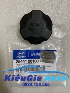 Banphutungoto.vn - NẮP BÌNH NƯỚC PHỤ HYUNDAI STAREX - 2544126100-9
