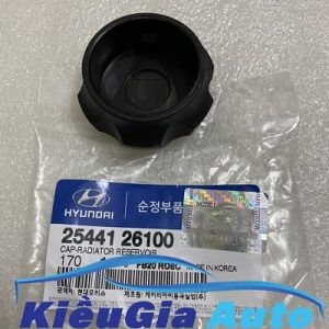 Banphutungoto.vn - NẮP BÌNH NƯỚC PHỤ HYUNDAI I10 GRAND - 2544126100-13