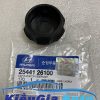 Banphutungoto.vn - NẮP BÌNH NƯỚC PHỤ HYUNDAI KONA - 2544126100-10