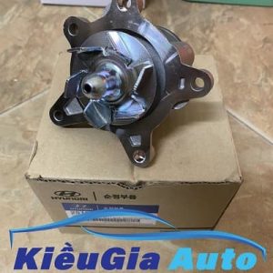 Banphutungoto.vn - BƠM NƯỚC HYUNDAI AVANTE - 251002B700-2