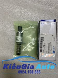 banphutungoto.vn-COMPA LÊN KÍNH DAEWOO GENTRA-94567374-1 Banphutungoto.vn - VAN ÁP SUẤT DẦU CHEVROLET CRUZE - 55567050-2