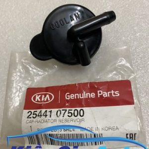 Banphutungoto.vn - NẮP BÌNH NƯỚC PHỤ KIA MORNING - 2544107500