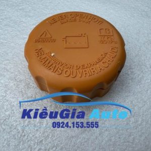 Nắp bình nước phụ Daewoo Nubira 2000-2003