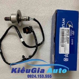 Banphutungoto.vn - Cảm biến oxy (khí thải) Kia Carens - 39210 25300