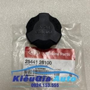 Banphutungoto.vn - Nắp bình nước phụ Hyundai Creta - 2544126100-23