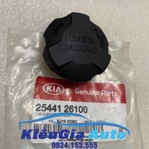 Banphutungoto.vn - Nắp bình nước phụ Hyundai H100 - 2544126100-21