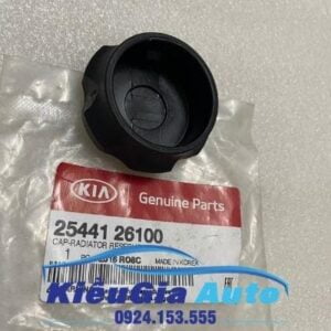 Banphutungoto.vn - Nắp bình nước phụ Hyundai i20 - 2544126100-19
