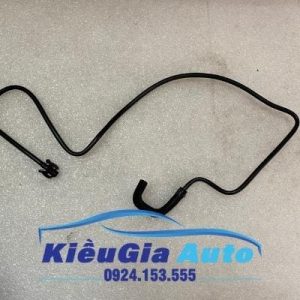 Banphutungoto.vn - Ống dẫn nước vào bình nước phụ Ford Ecosport - CN118C012AA
