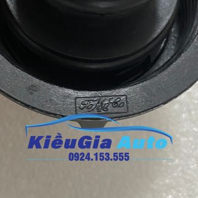 Nắp bình nước phụ Ford Ecosports 4 Nắp bình nước phụ Ford Ecosports - Ảnh 4