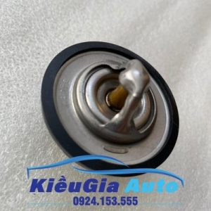 Banphutungoto.vn - Van hằng nhiệt Daewoo Lanos - 96143939.1
