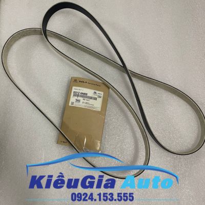 Dây curoa tổng Hyundai Solati 2017 1 Banphutungoto.vn - Dây curoa tổng Hyundai Solati 2017 - 252124A600.2