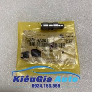 Con đội Hyundai Mighty 2019-2023 Chính hãng