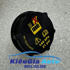 Nắp bình nước phụ Ford Focus 2005-2018 7 7 9 1