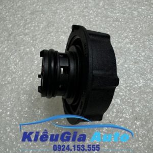 Nắp bình nước phụ Ford Focus 2005-2018 8 8 15 1