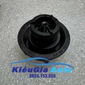 Nắp bình nước phụ Ford Focus 2005-2018